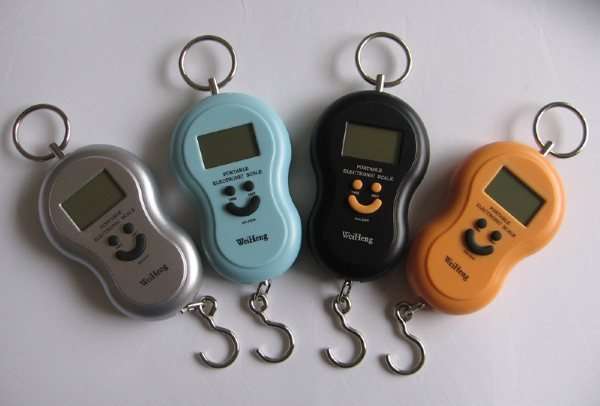 Digital Hanging Fishing Scale