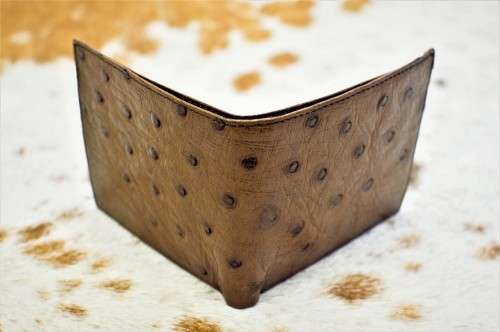 Ostrich leather men`s wallet (Brown)