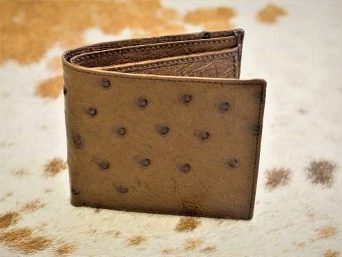 Ostrich leather men`s wallet (Brown)