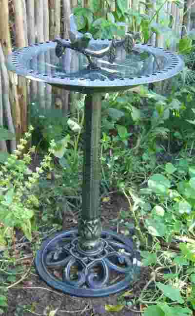 Bird Bath - Bird on Branch