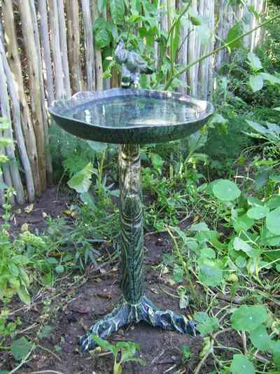 Bird Bath - Pecker on Branch