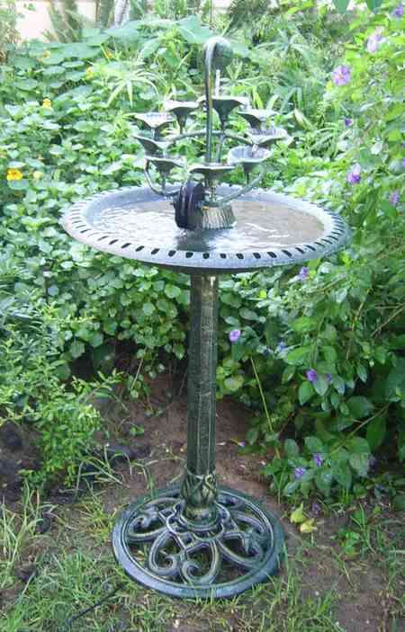 Water Fountain Water Lily