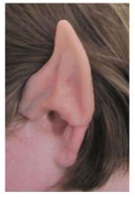 Cosplay Pointed Elf Ears
