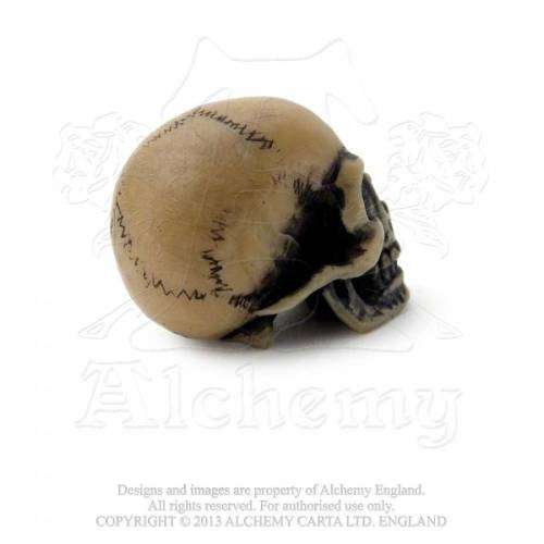 Alchemy Gothic V2 Lapillus Worry Skull