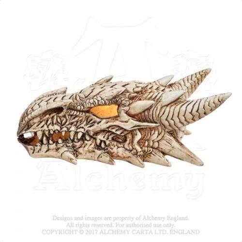 Alchemy Gothic V49 LED Dragon Skull Illiminated Desk Ornament (batteries not included)