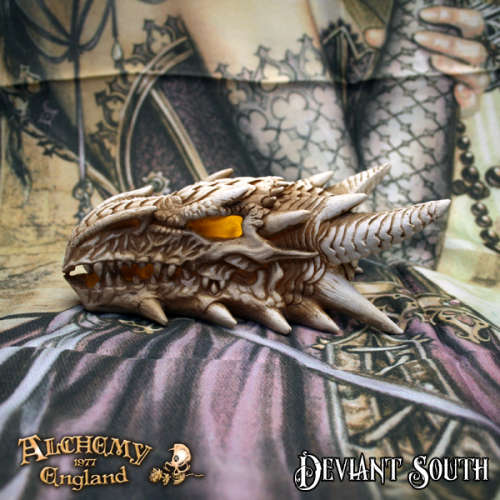 Alchemy Gothic V49 LED Dragon Skull Illiminated Desk Ornament (batteries not included)