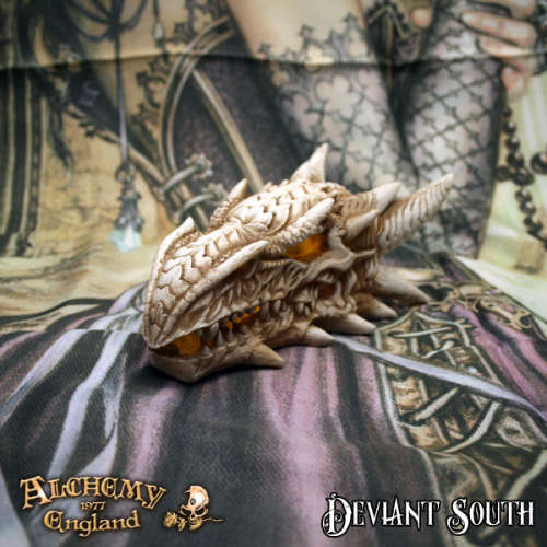 Alchemy Gothic V49 LED Dragon Skull Illiminated Desk Ornament (batteries not included)