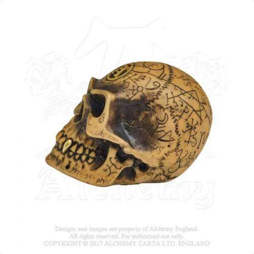 Last Chance! Alchemy Gothic V48 Omega Skull Gear Knob