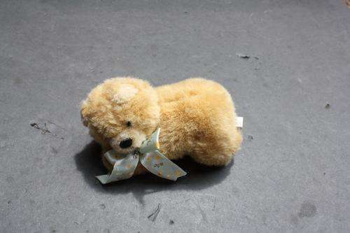 SMALL DOG 150 MM - PLEASE HAVE A LOOK