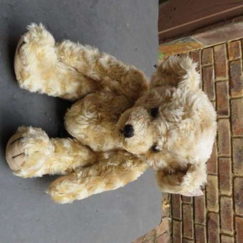 RUSS BEAR - 230 MM - COSGROVE - PLEASE HAVE A LOOK