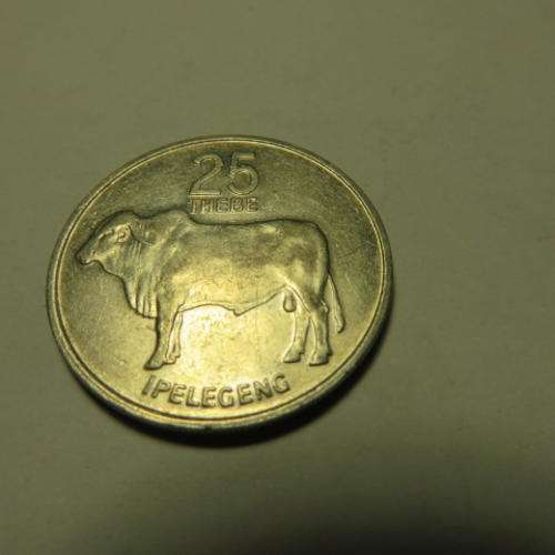 BOTSWANA - TWENTY FIVE THEBE - 1984 - PLEASE HAVE A LOOK