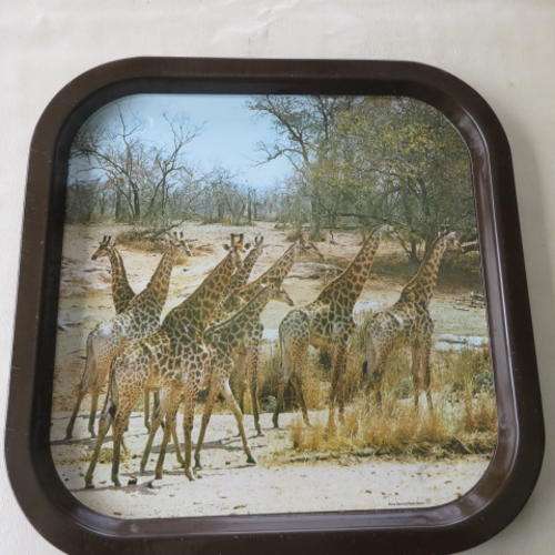 METAL BAR TRAY - 360 X 360 MM - 20 MM HIGH - GIRAFFES - PHOTO NATIONAL PARKS BOARD