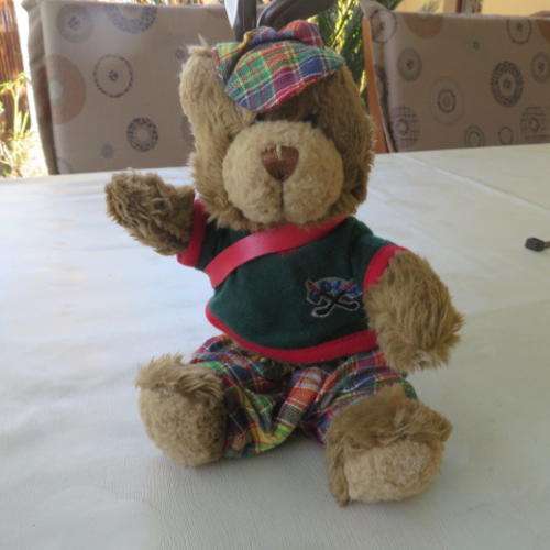 THE GOLFING TEDDY BEAR - 220 MM - THE TEDDY BEAR COLLECTION