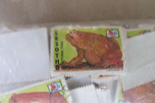 HUNDREDS OF DOUBLED STAMPS - BOTSWANA, LESOTHO, TRANSKEI, ZAMBIA, SWAZILAND - AS PER SCAN