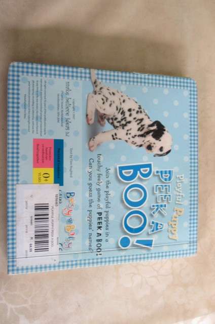 PLAYFUL PUPPY - PEEK A BOO