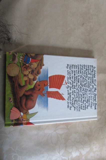 THE SECRET BOOK OF THE GNOMES VOL.9