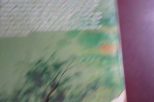 ROOI JAN NO. 26 - DIE SWART BOESMANS