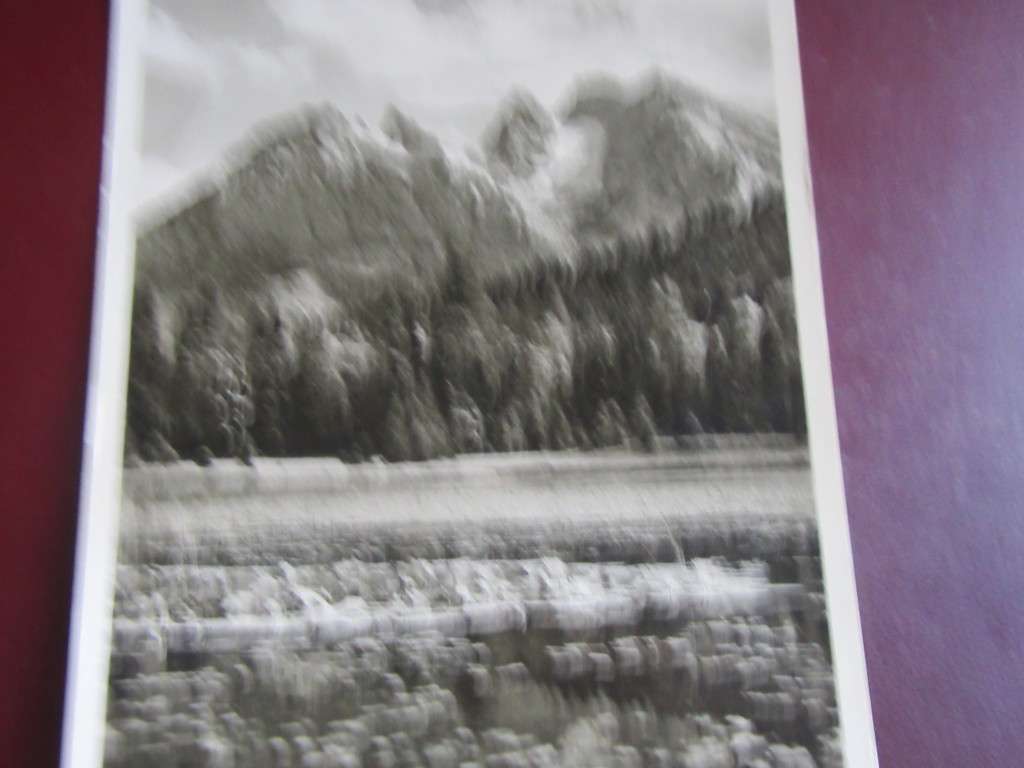 USED POST CARD GERMANY - LD/TL