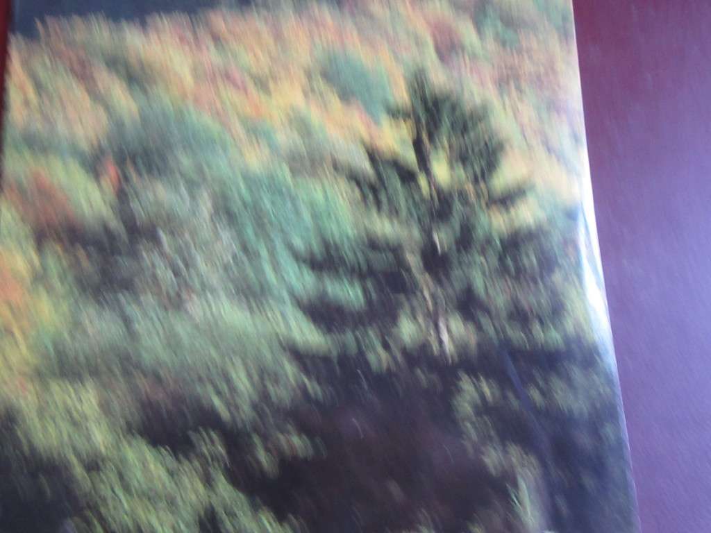 USED POST CARD GERMANY - LD/TL