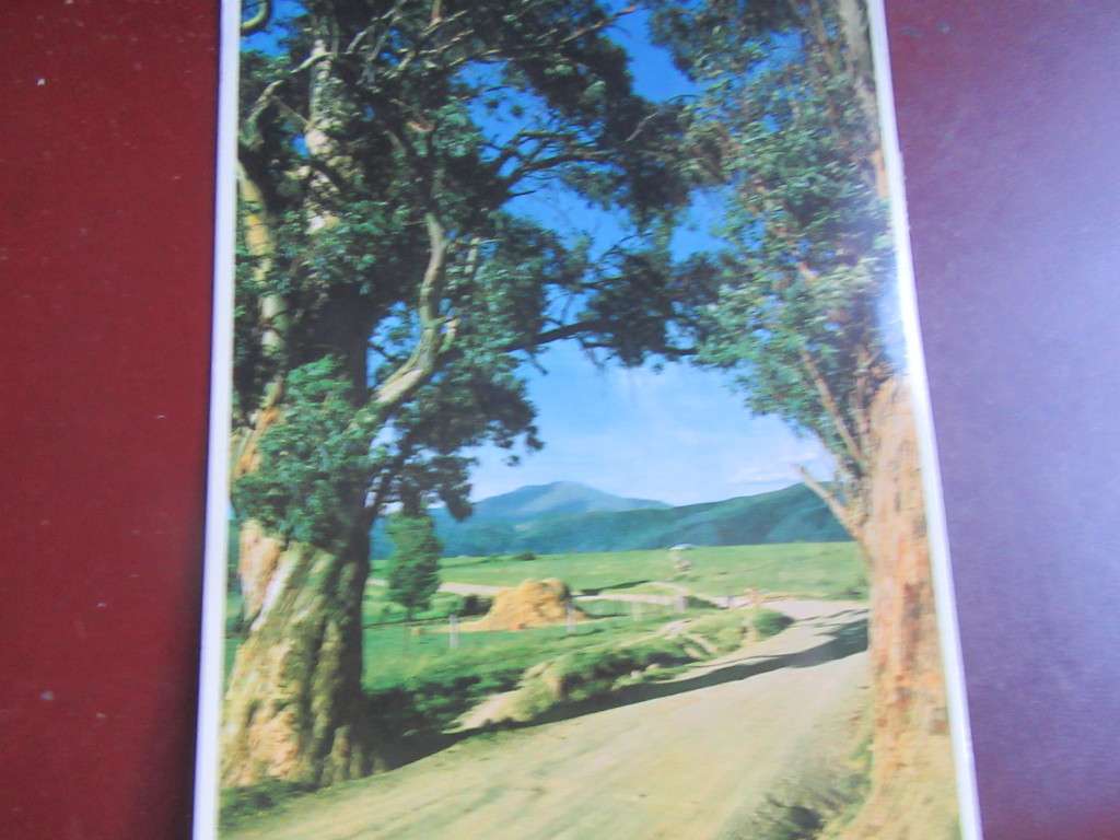 USED POST CARD RSA - LD/TL
