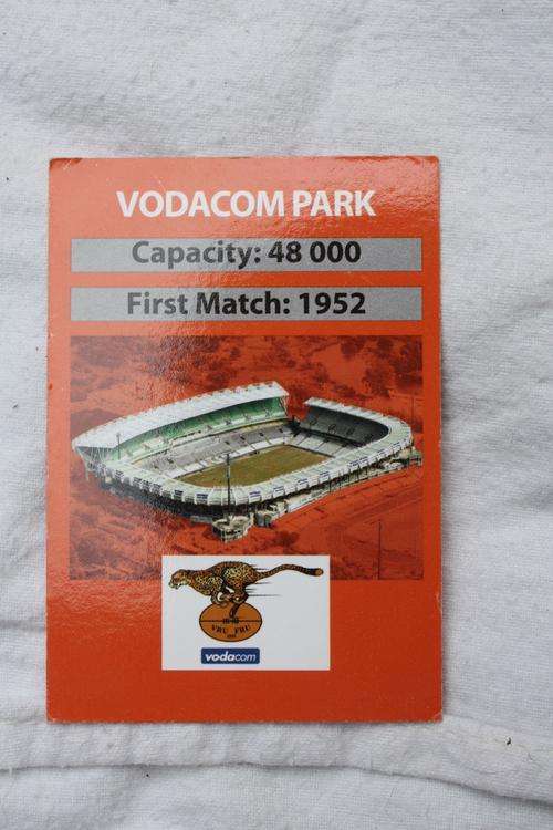 BIG BALL RUGBY - LIONS - MUFASA