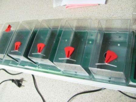 SUPER 7 SEED PROPAGATOR