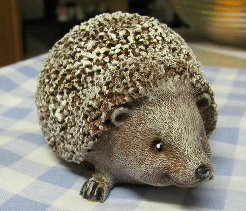 HEDGE HOG.