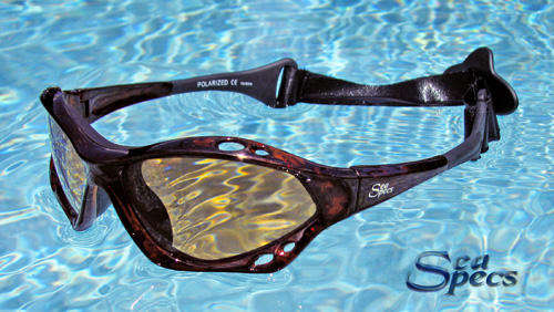 SEASPECS TORTUGA (tortoise shell) *FREE SHIPPING*