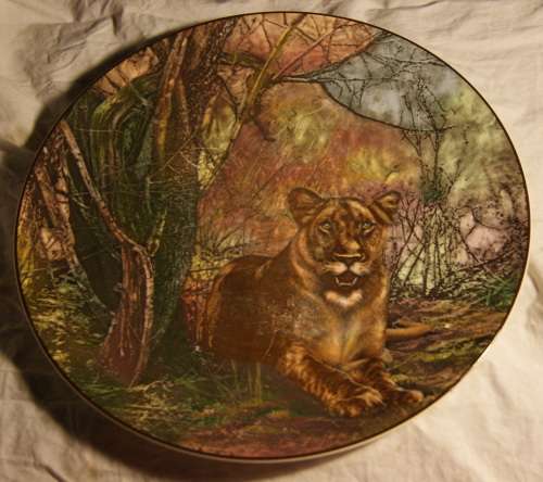 Royal Doulton - African Series - Lioness - Display Plate