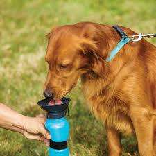 AQUA DOG - Water Bottle For Dogs