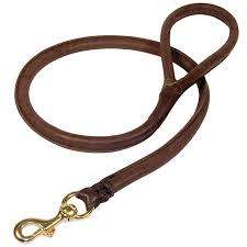 15 Nylon Collars and 10 Leather Rolled Collars and Leash