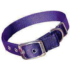 15 Nylon Collars and 10 Leather Rolled Collars and Leash