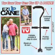 EZ Up Cane