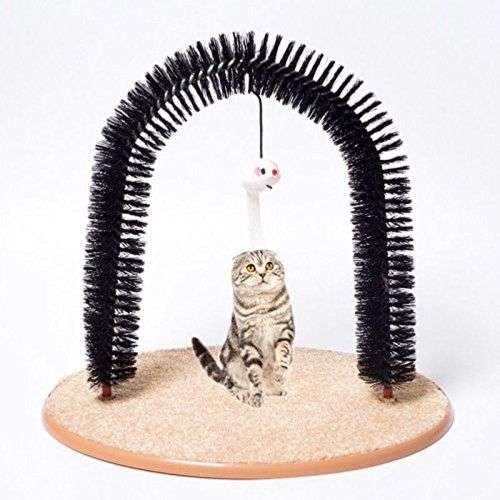 Cat Grooming Purrfect Arch