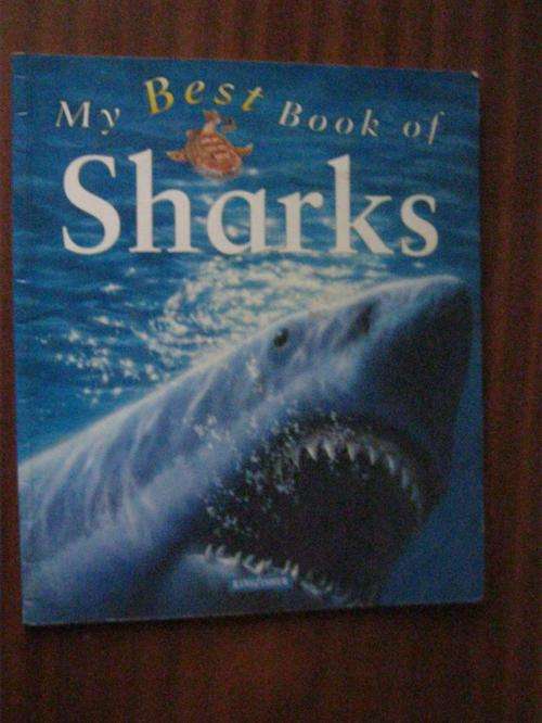 My Best Book of Sharks
