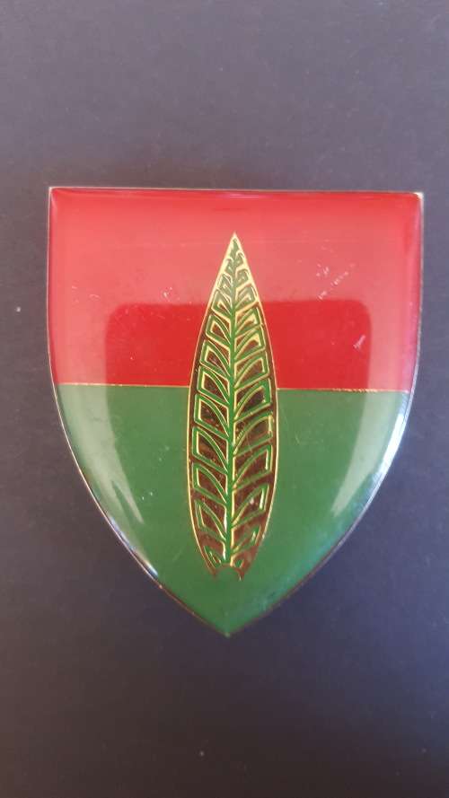 SADF 10th Anti Aircraft flash