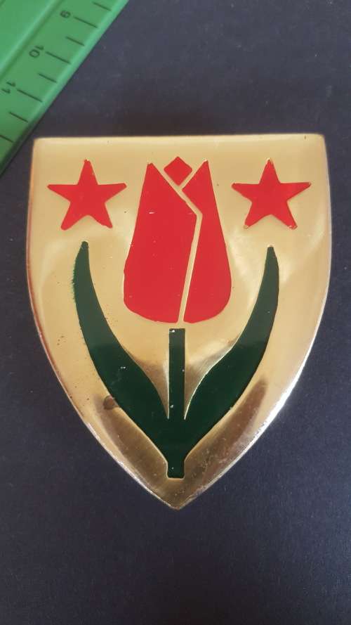 SADF Metal Flash South West Karoo Commando