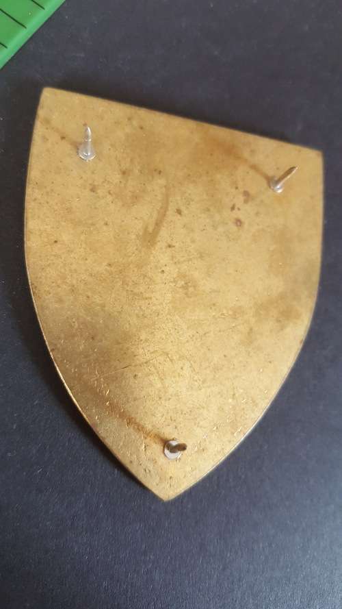 SADF Metal Flash South West Karoo Commando