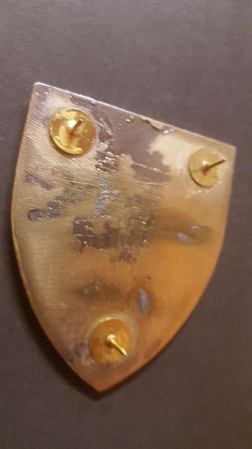 SADF Metal Flash Infantry 8 SAI