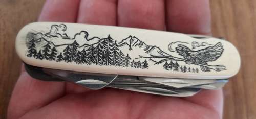 Pocket multi pocket knife great condition