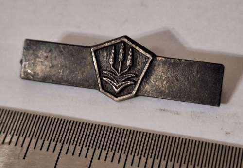 SAP TERRORISM MEDAL BAR WITH NO SILVER MARKINGS ON BACK