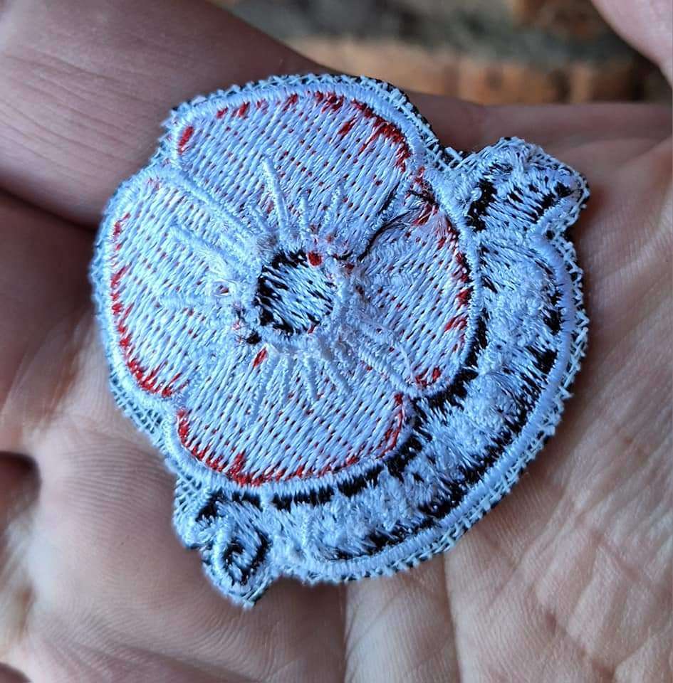 Poppy patch
