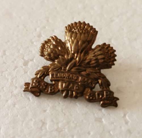 SADF collar badge