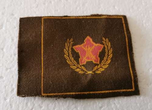 SADF 5 year Volenteer patch