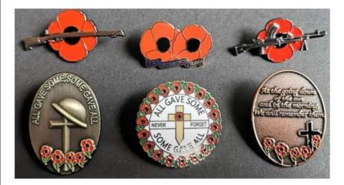 Remembrance day Poppy Pins set