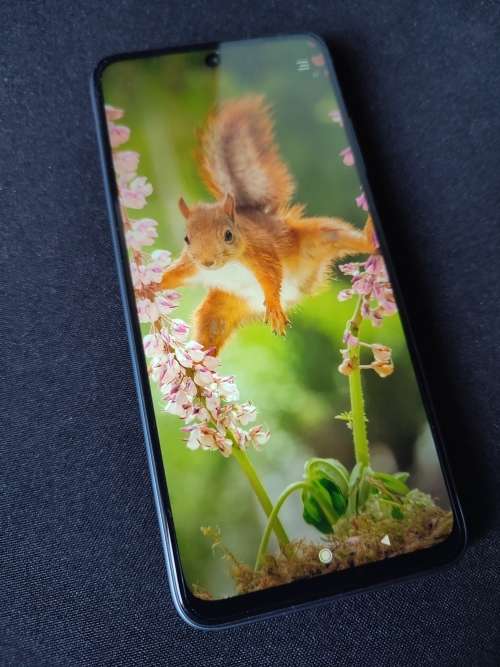 Xiaomi Redmi 10 carbon grey