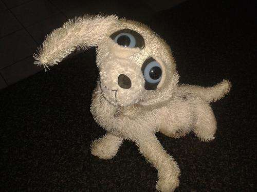 Soft toy Dog - So cute +- 35cm long