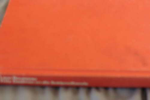 Fritz Deelman en die Suidpoolbende. Leon Rousseau