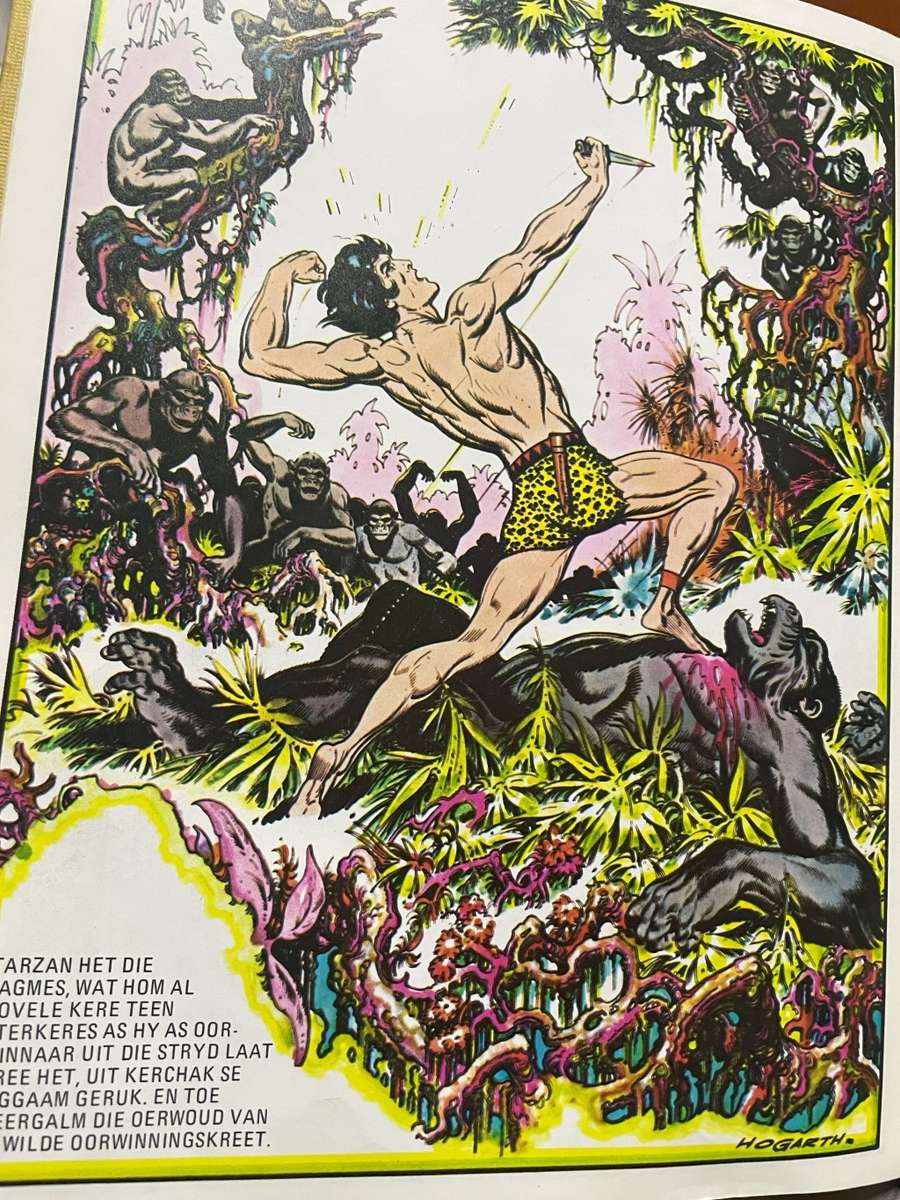 Tarzan Van Die Ape, Afrikaanse Uitgawe, met tekeninge vanHogarth, Burne (E R Burroughs). Baie skaars