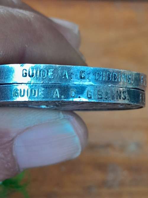 Boer War QSA Medals Awarded To: Guide A C Gibbins F.I.D